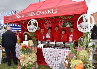 Dzień Ziemniaka Województwa Łódzkiego w Świnicach Warckich